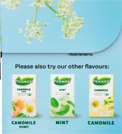 Pickwick Sterrenmunt Kruidenthee - 4 X 20 Zakjes -Drank Winkel 1091x1200 3