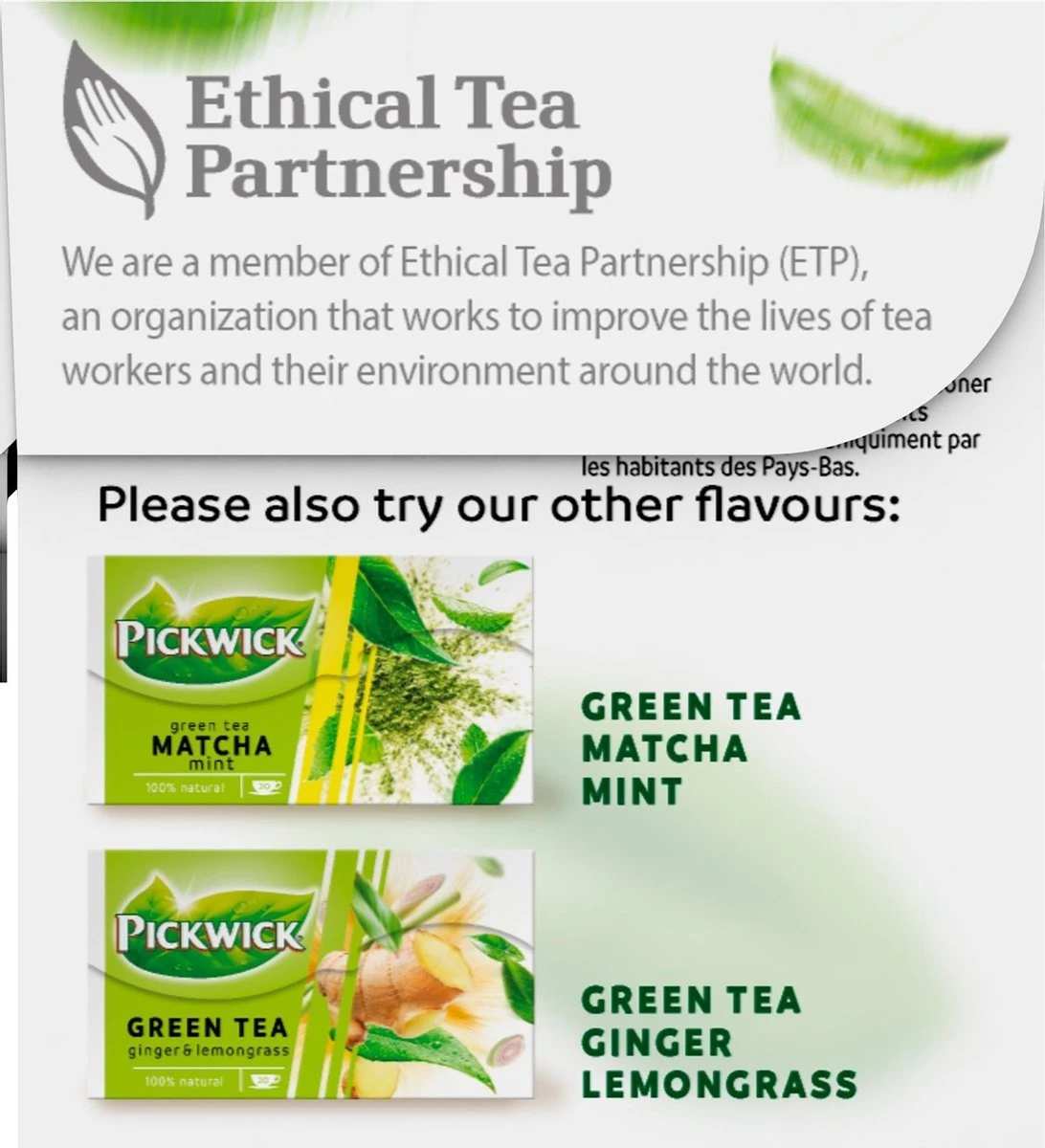 Pickwick Pure Groene Thee - 12 X 20 Zakjes 2 Pickwick Pure Groene Thee - 12 X 20 Zakjes - Afbeelding 2