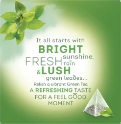 Lipton Fresh Nature Groene Thee, Met De Frisse Pure Smaak Van De Natuur - 4 X 20 Zakjes - PL-EKO-03 -Drank Winkel 1175x1200 4