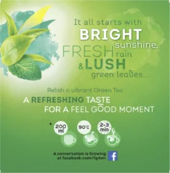 Lipton Intense Mint Groene Thee, Met De Verfrissende Smaak Van Groene Thee En Echte Muntblaadjes - 4 X 20 Zakjes - PL-EKO-03 -Drank Winkel 1176x1200