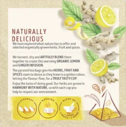 Lipton Ginger & Lemon Kruidenthee, Met De Vurige Smaak Van Gember En Frisheid Van Citroen - 4 X 20 Zakjes - PL-EKO-03 10 Lipton Ginger & Lemon Kruidenthee, Met De Vurige Smaak Van Gember En Frisheid Van Citroen - 4 X 20 Zakjes - PL-EKO-03 -Drank Winkel 1187x1200 5