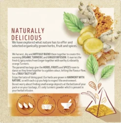 Lipton Turmeric & Ginger Kruidenthee, Met De Vurige, Verwarmende Smaak Van Gember En Kurkuma - 4 X 20 Zakjes - PL-EKO-03 -Drank Winkel 1187x1200 6