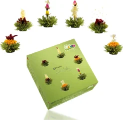 Creano Theebloemen Pakket Groene Thee - Fruitsmaken - 6 Stuks -