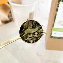 Mito Tea - Losse Thee - Deluxe Theepakket - Proefpakket Met 4 Verschillende Losse Thee * Special Taste * 4X 25 Gram - Vanille/Rooibos - Marokkaanse Thee - Herbal Tea - Citroen/Gember - Random -Voorzien Van De Beste Ingrediënten -Drank Winkel 1200x1200 236