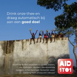 Soolong Sense China Nr11 Gember Thee - Verkwikkend & Krachtig - Gember & Citroengras - Duurzame Losse Thee - Premium Kruidenthee Uit China - Blik 25gram -Drank Winkel 1200x1200 256