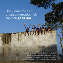 Soolong Sense China Nr11 Gember Thee - Verkwikkend & Krachtig - Gember & Citroengras - Duurzame Losse Thee - Premium Kruidenthee Uit China - Blik 25gram -Drank Winkel 1200x1200 258