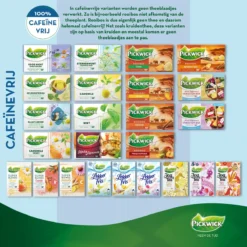 Pickwick Spices Minty Morocco Kruiden Thee - 12 X 20 Zakjes -Drank Winkel 1200x1200 280