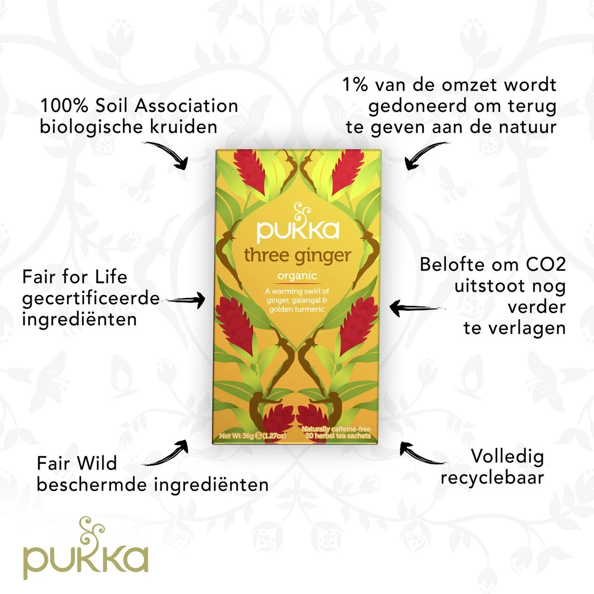 Pukka Three Ginger Thee, Met Kurkuma, Gember En Galangawortel - 4 X 20 Zakjes - GB-BIO-05 5 Pukka Three Ginger Thee, Met Kurkuma, Gember En Galangawortel - 4 X 20 Zakjes - GB-BIO-05 - Afbeelding 5