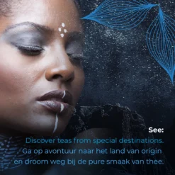 Soolong See Japan Nr32 Exclusieve Japanse Groene Thee - Umami - Fukamuchicha Uit Japan - Duurzame Losse Thee - Sencha Thee - Blik 35gram -Drank Winkel 1200x1200 379