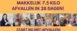 TeaTox™ 28 Dagen Afvallen Detox - Thee - Detox + E-book 30 Recepten -Drank Winkel 1200x489
