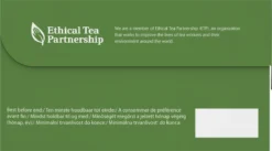 Pickwick English Zwarte Thee - 6 X 40 Zakjes - Extra Grote Verpakking -Drank Winkel 1200x664