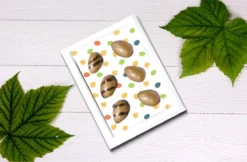 Pasen Chocolade Cadeau - Brievenbus Pakket - Pasen Bonbons - Fairtrade Chocolade - Easter Egg Chocolate -Melk -Drank Winkel 1200x788 2