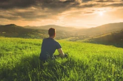 Teamasters Pure, Blends & Specials Mixbox - Gratis RVS Filter - Biologische Losse Thee - Rooibos - Munt - Citroen - Groene Thee - Jasmijn Thee - Zwarte Thee - Gember - Witte Thee - Framboos - Passievrucht - Theedoos - Zomer - Geschenkset -Drank Winkel 1200x799 13