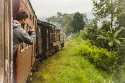 Teamasters Pure & Blends Mixbox - 6 X 60 Gram - Biologische Losse Thee - Rooibos Thee - Munt Thee - Citroen Thee - Groene Thee - Jasmijn Thee - Zwarte Thee - Oolong Thee - IJsthee - Zomer -Drank Winkel 1200x800 45