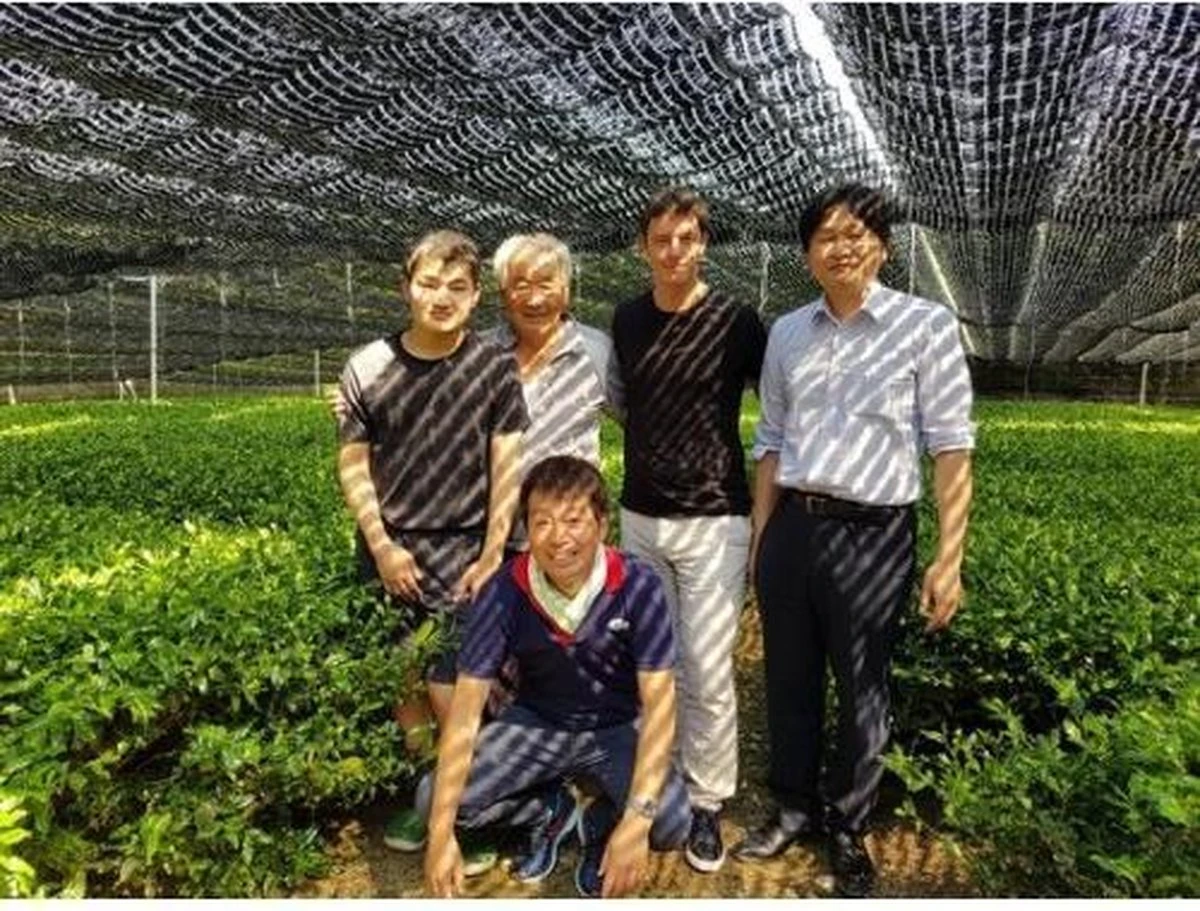 Japanse Premium Matcha Thee - 50 Gram - Inclusief Matcha Klopper - Vol Met Antioxidanten, Vitaminen & Mineralen - Vandaag Besteld, Morgen In Huis! 6 Japanse Premium Matcha Thee - 50 Gram - Inclusief Matcha Klopper - Vol Met Antioxidanten, Vitaminen & Mineralen - Vandaag Besteld, Morgen In Huis! - Afbeelding 6