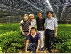 Japanse Matcha Cadeau Set - Het Perfecte Cadeau! ✔ Vandaag Besteld, Morgen In Huis ✔ Gratis Matcha Boek Bij Uw Bestelling! -Drank Winkel 1200x911 3