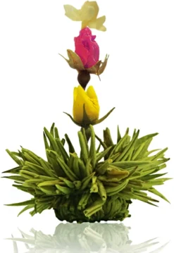 Creano Theebloemen Pakket Groene Thee - Fruitsmaken - 6 Stuks - -Drank Winkel 826x1200