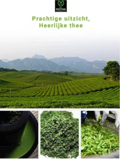 TMomentes® High Quality Culinary MATCHA Thee - Matcha Poeder - Matcha Thee - 100% Organisch Gecertificeerd - 100 Gram -Drank Winkel 907x1200