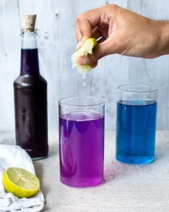 Merkloos Blauwe Vlindererwt Thee - Blue Butterfly Pea Flower Tea - Cafeïnevrije Kruidenthee - Kittelbloem - 20 Gram -Drank Winkel 960x1200 3