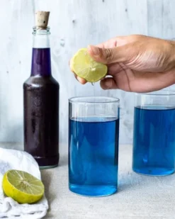 Merkloos Blauwe Vlindererwt Thee - Kittelbloem - Blue Butterfly Pea Flower Tea - Cafeïnevrije Kruidenthee - 60 Gram -Drank Winkel 960x1200 4