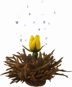 Creano Geschenkset Theebloemen (6 Stuks) En Glazen Theekan -Drank Winkel 994x1200